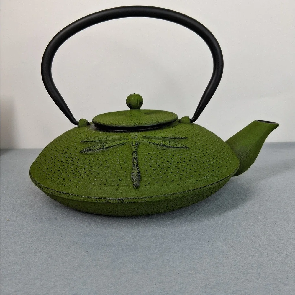 Japanese Tetsubin Teapot Green Cast Iron Dragonfly Enamel Interior NIB